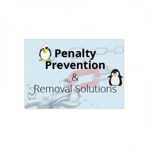 Google Penalty Removal and Recovery