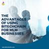 The advantages of using Bitechchain for MLM businesses